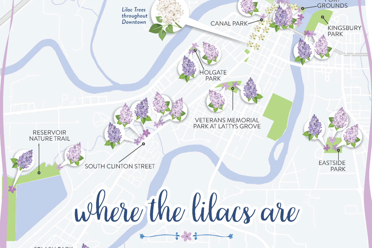 Lilac Locator Map Yd Graphics